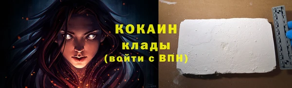 дживик Богородицк