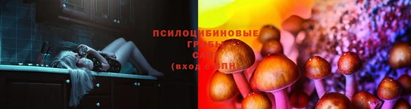 jwh Богородск