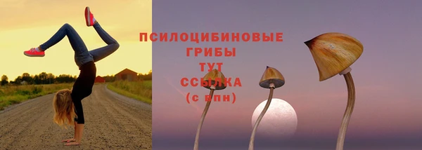 мдма Богданович