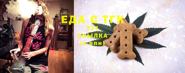 дживик Богородицк