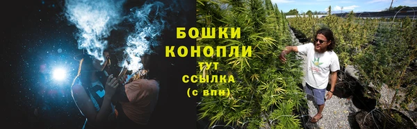 дживик Богородицк